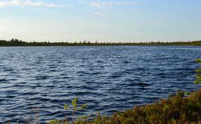 Газопровод загрязнил озеро в Хабаровском крае тяжелыми нефтепродуктами 