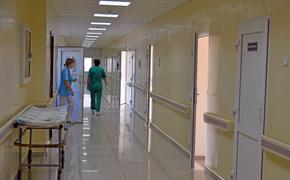 Хабаровские эсеры рассказали, как спасти медицину в регионе