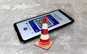 Депутаты ЗСК поддержали законопроект по введению QR-кодов