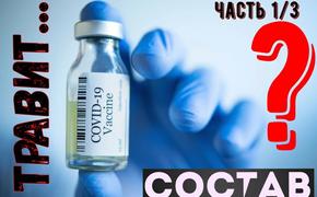 Состав вакцин от COVID-19 вызывает много вопросов