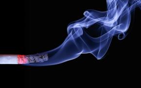Результаты исследования показали, какие продукты помогают снизить риск возникновения рака у курильщиков