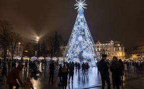 В Вильнюсе установили «самую невероятную» елку в Европе