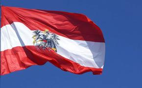 «Долой Четвёртый Рейх»: в Австрии проходят антиправительственные демонстрации