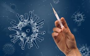 Вирусолог Чумаков допустил, что штамм коронавируса «омикрон» может стать «живой вакциной»
