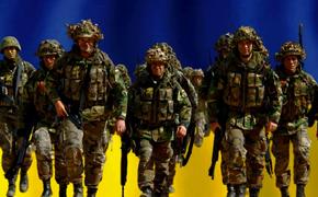 Украина проведет в 2022 году целую серию масштабных военных учений совместно с НАТО