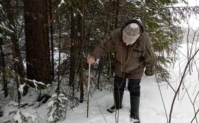 В нацпарке Таганай не хватает снега