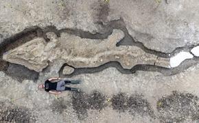 В Великобритании найден десятиметровый ихтиозавр 
