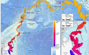 Разрушение шельфовых ледников Антарктики может иметь катастрофические последствия для всей экосистемы