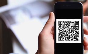 Хабаровчане требуют отвод прокурора в деле о QR-кодах