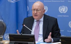 Небензя назвал «мегафонной дипломатией» проводимое по инициативе США заседание СБ ООН по Украине