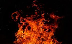 Высокий риск возникновения природных пожаров в Приморье ожидают в феврале