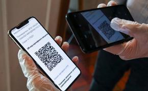 В Хабаровском крае отменили QR-коды и ввели ПЦР-тесты на внутренних авиарейсах