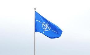 Пресс-секретарь МИД Украины Николенко заявил, что стремление страны в НАТО закреплено в конституции