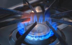 Аналитик Юшков заявил, что европейские страны рискуют растратить газ из хранилищ до конца отопительного сезона