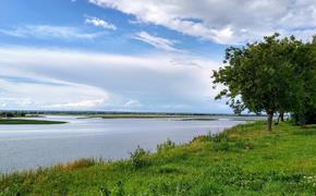 Почему городской воздух вреднее сельского