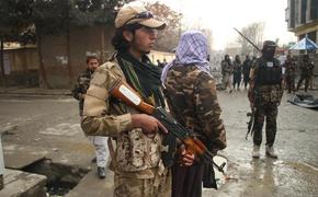 «Талибан» может воспользоваться мировой нестабильностью для усиления власти