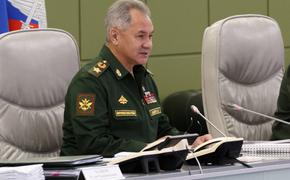 Глава Минобороны РФ Шойгу рассказал о планах проведения Международного антифашистского конгресса