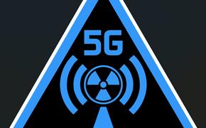 Ученые считают, что излучение 5G убивает природу, животных и птиц