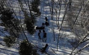 В Челябинской области полиция задержала гонщиков на снегоходах в заповеднике 