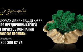 Для бизнесменов Краснодара заработала горячая линия профессиональных юристов