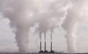 До 30% прямых выбросов парниковых газов компаний России нейтрализуют к 2050 году