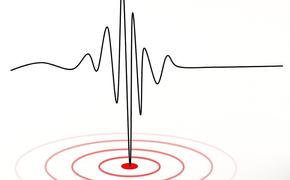 МЧС: В республике Тыва произошло землетрясение магнитудой 4,5