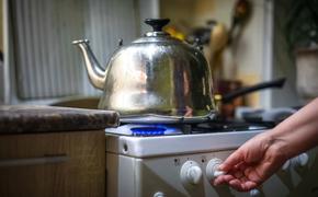 21 тысячу домовладений Челябинской области подключат к газу в 2022 году 
