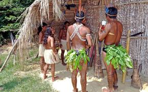 Исследование: Один из самых низких в мире показателей деменции, обнаружен у коренных народов Амазонки