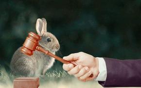 Сказ о том, как российский суд кроликов делил