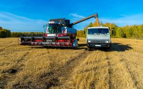 Названы топ-5 территорий Челябинской области по продаже зерновых культур