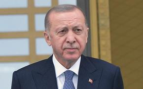 Эрдоган в телефонном разговоре с Зеленским обсудил переговоры РФ и Украины в Стамбуле