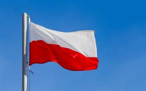 Правительство Польши признало, что Россия эффективно противостоит санкциям