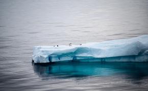 Таяние льдов Антарктики могут ускорить озёра из талой воды