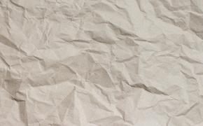 В России по примеру Японии могут производить каменную бумагу 