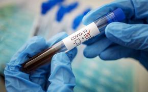 В Австралию проник новый штамм коронавируса