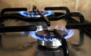 Экономист Денис Ракша: «У Европы есть три схемы оплаты российского газа»