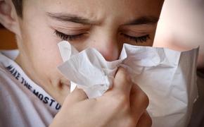 Российские лаборатории начали производить новые тесты на ряд аллергенов