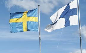 Путь Швеции и Финляндии в НАТО - это безопасность или желание хапка?