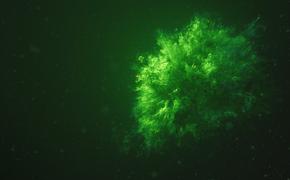 Компьютер год проработал без сбоев на фотосинтезе сине-зеленых водорослей 