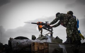 Шведский политик  Нуши Дадгостар: страна может быть втянута в ситуацию на Украине в случае вступления в НАТО