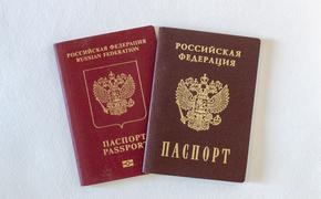 Депутат Госдумы Водолацкий сообщил, что большинство жителей Херсона и Запорожья изъявили желание получить российские паспорта