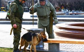 В Хабаровском крае «заминировали» школы во время ЕГЭ