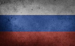 Краснодарцы 12 июня увидят самый большой флаг России из живых цветов