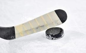  В решающих матчах плей-офф НХЛ российские хоккеисты демонстрируют ​великолепную ​ игру​
