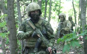 Украинские батальоны уже не просят огня, они хотят просто отступать