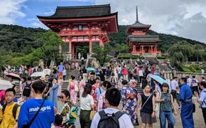 Генконсульство Японии в Хабаровске снова принимает заявки на визы 