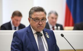 Сенатор Вячеслав Тимченко: в случае присоединения республик Донбасса к России могут понадобиться довыборы в Госдуму
