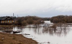 В Хабаровском крае паводок готовы ликвидировать более 5 тысяч спасателей 