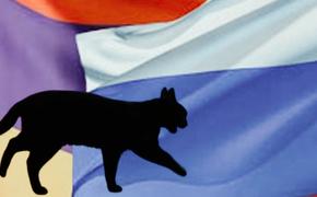 Кто является чёрной кошкой для Армении