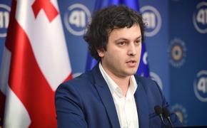Грузии предоставят статут кандидата в члены ЕС, если она вступит в войну с Россией 